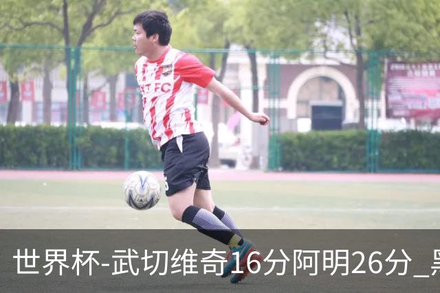 世界杯-武切维奇16分阿明26分 黑山大胜埃及