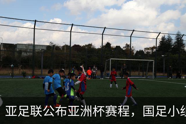 亚足联公布亚洲杯赛程，国足小组赛均在黄金时间段