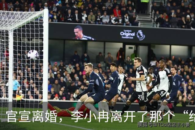 官宣离婚，李小冉离开了那个“给你五个亿让你作”的男人