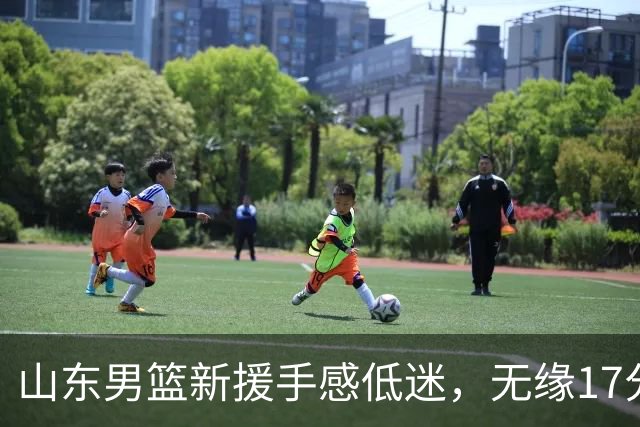 山东男篮新援手感低迷，无缘17分大逆转，外援20分难救主输给辽宁