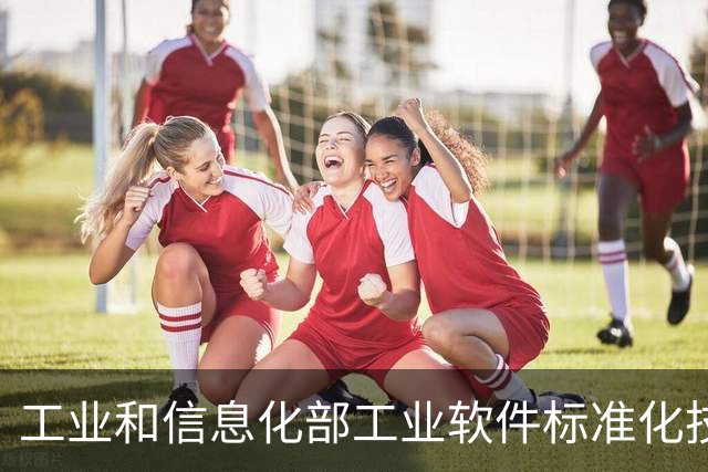 工业和信息化部工业软件标准化技术委员会成立