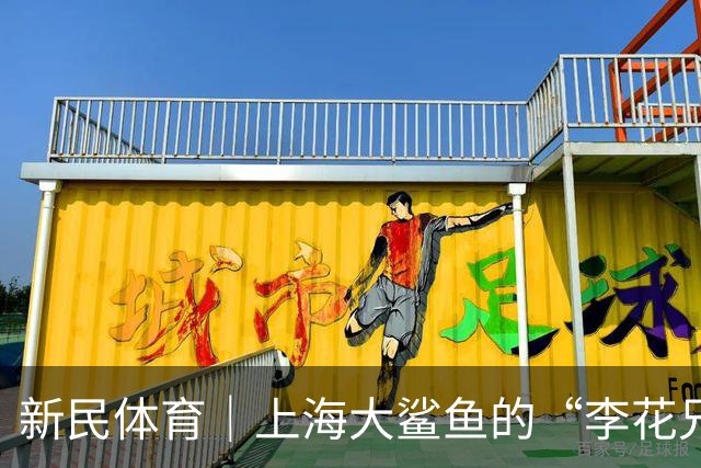 新民体育｜上海大鲨鱼的“李花兄弟”回来了！