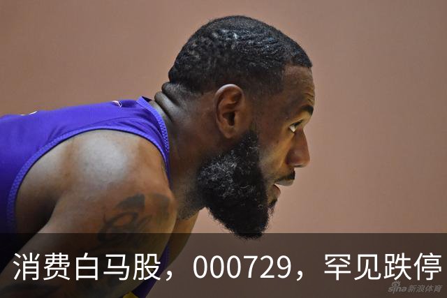 消费白马股，000729，罕见跌停！