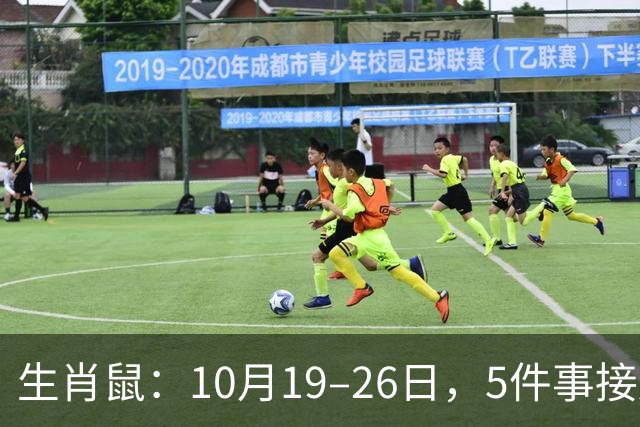 生肖鼠：10月19–26日，5件事接连发生，尤其第3件，别不当回事！