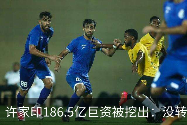 许家印186.5亿巨资被挖出：没转给丁玉梅，而是给了这位“老友”