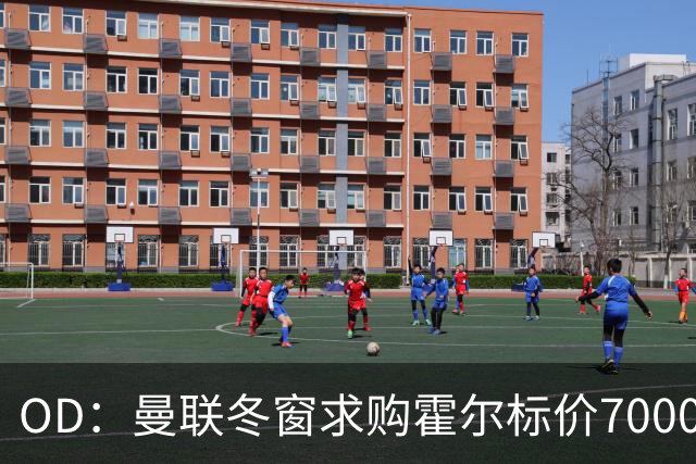 OD：曼联冬窗求购霍尔标价7000万英镑，埃迪·豪或成关键