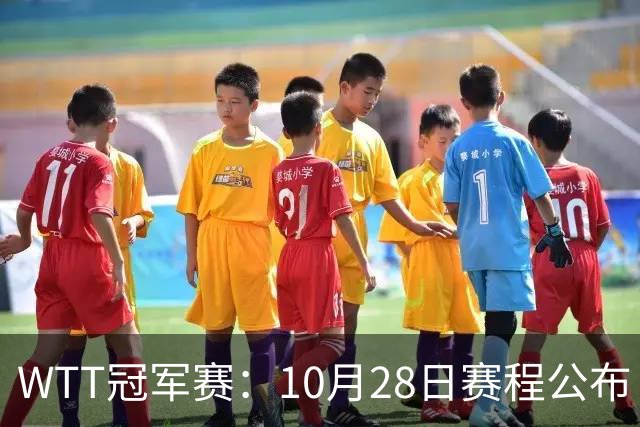 WTT冠军赛：10月28日赛程公布！国乒5大主力首秀，王曼昱等人登场